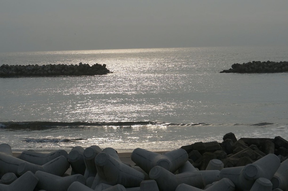 鳥の海の海