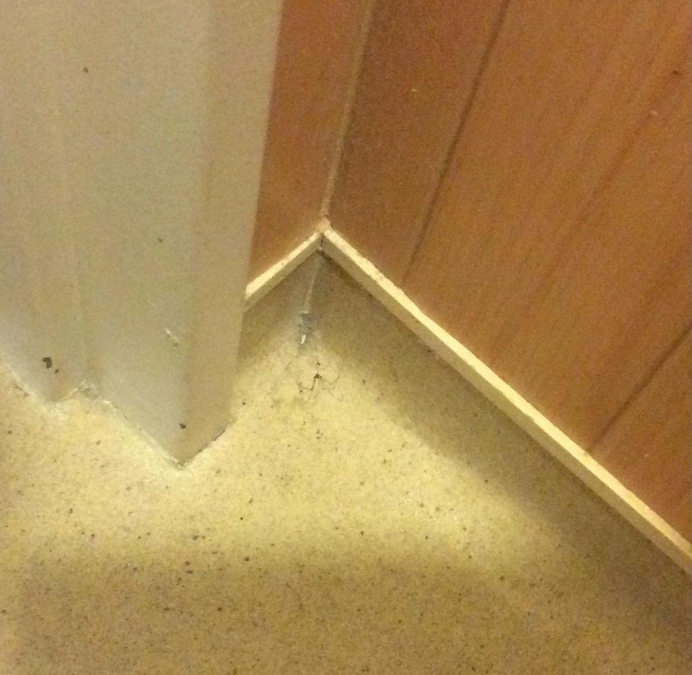 571号室のトイレに