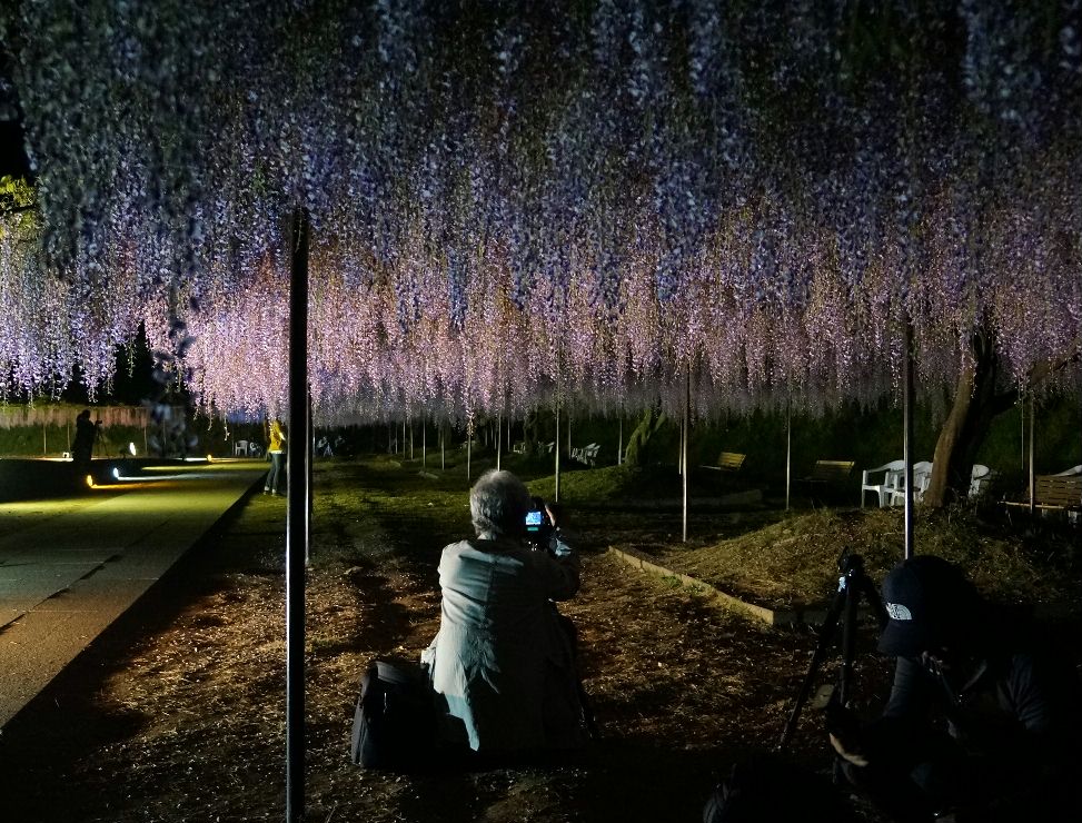 ５月７日夜8