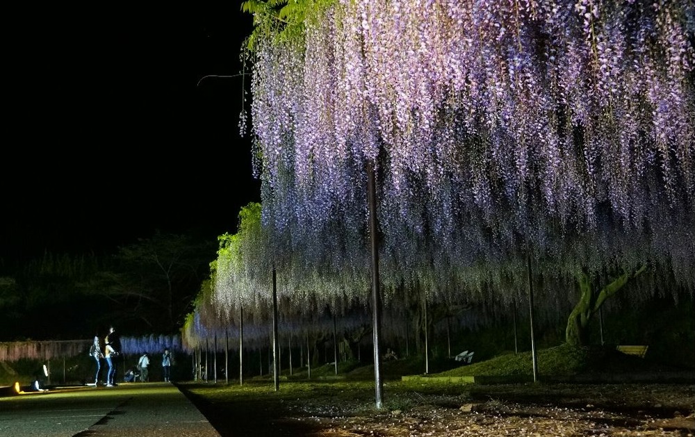 ５月７日夜4