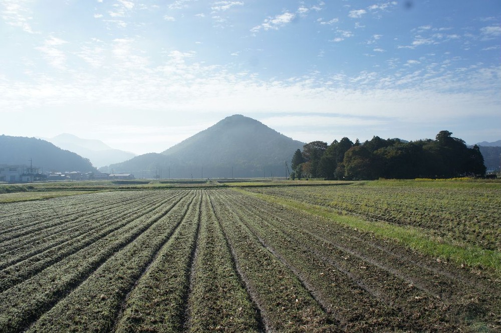 １０月３０日の小富士山