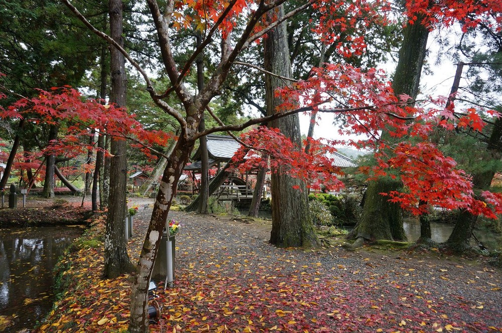 白毫寺３