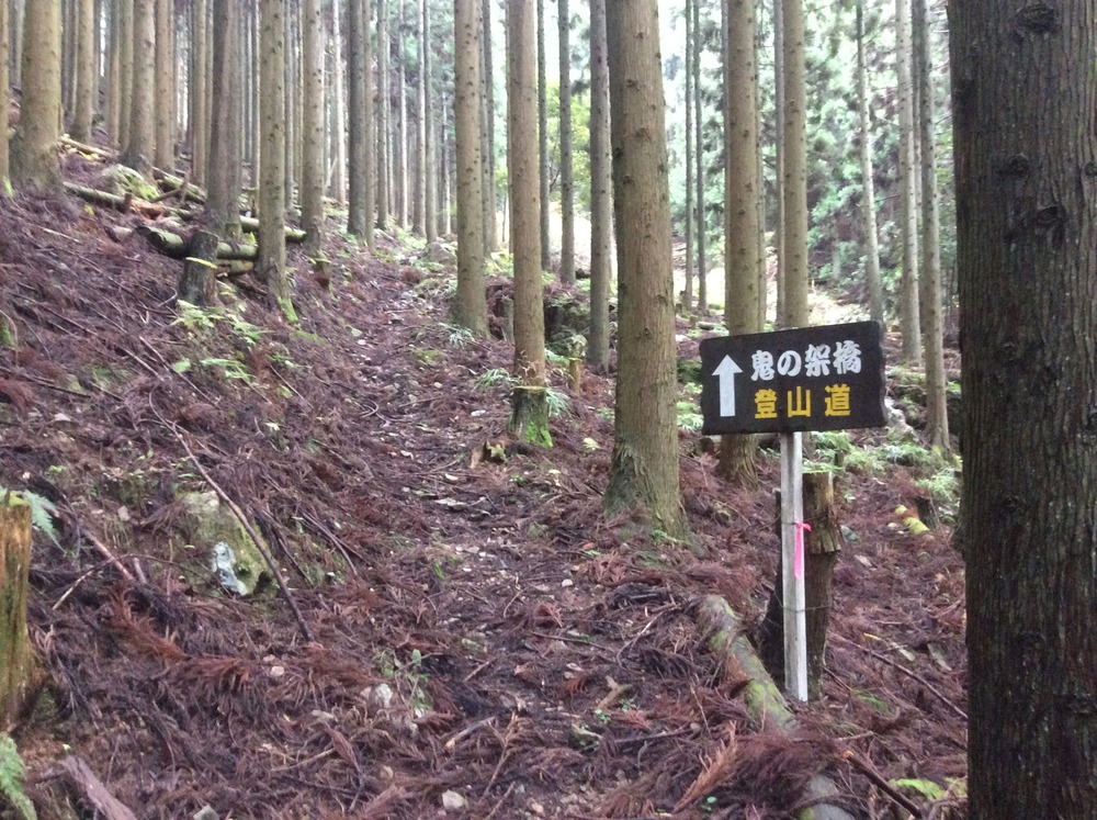 鬼の架け橋への登山道5