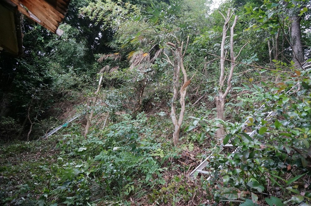 裏山手入れ後