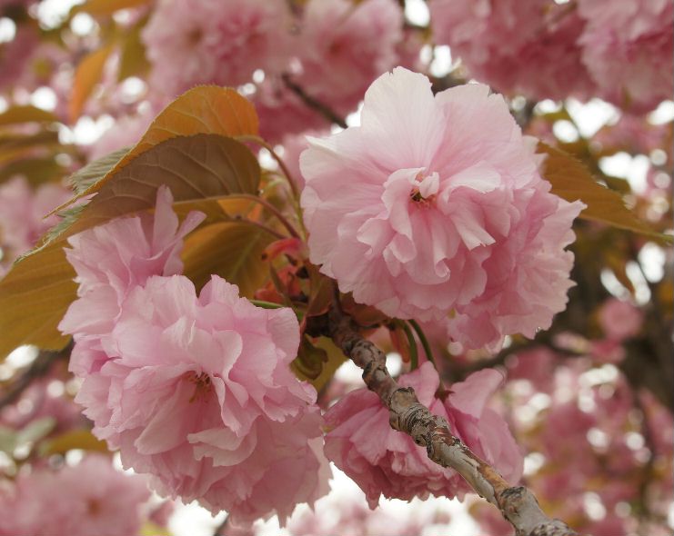 造幣局２