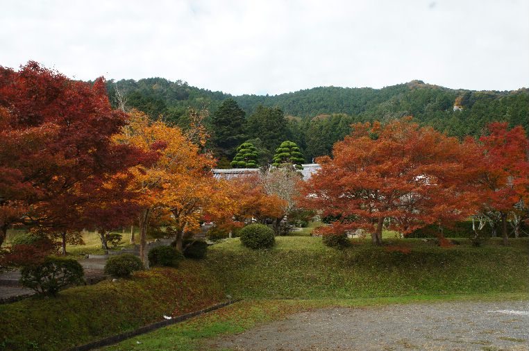 石像寺の紅葉１