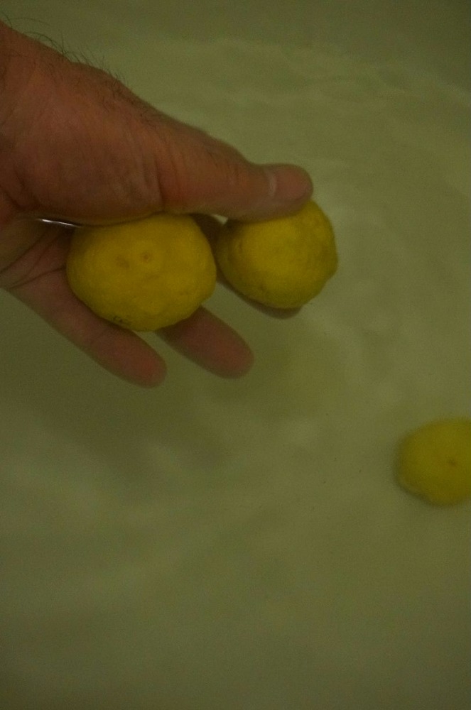 柚子湯