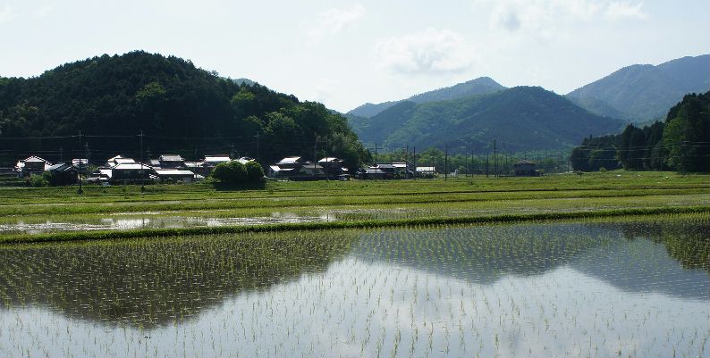 田に映る丹波