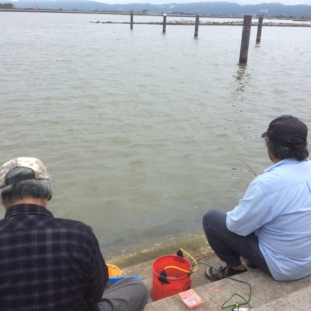 鳥の海釣り２