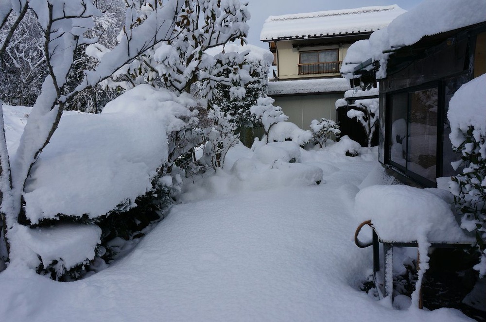 ２日の雪３５ｃｍ