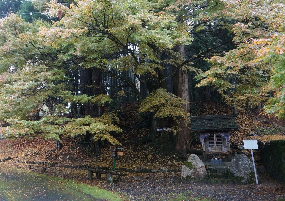 神池寺３