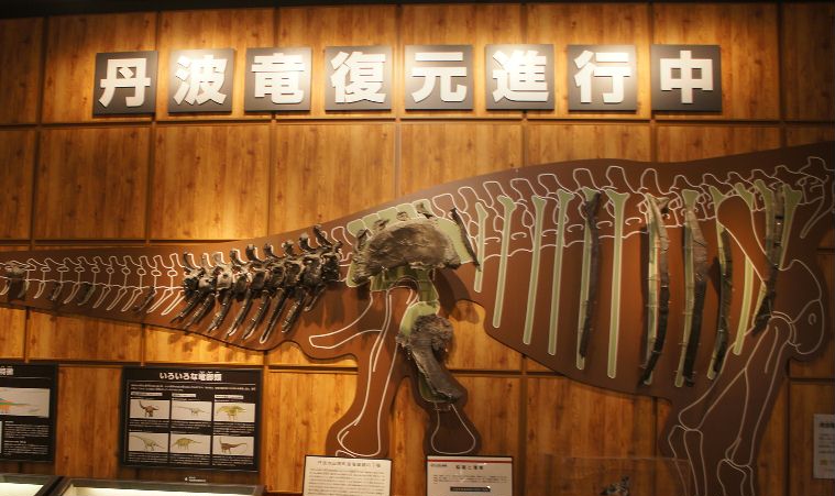 丹波竜の発掘状況