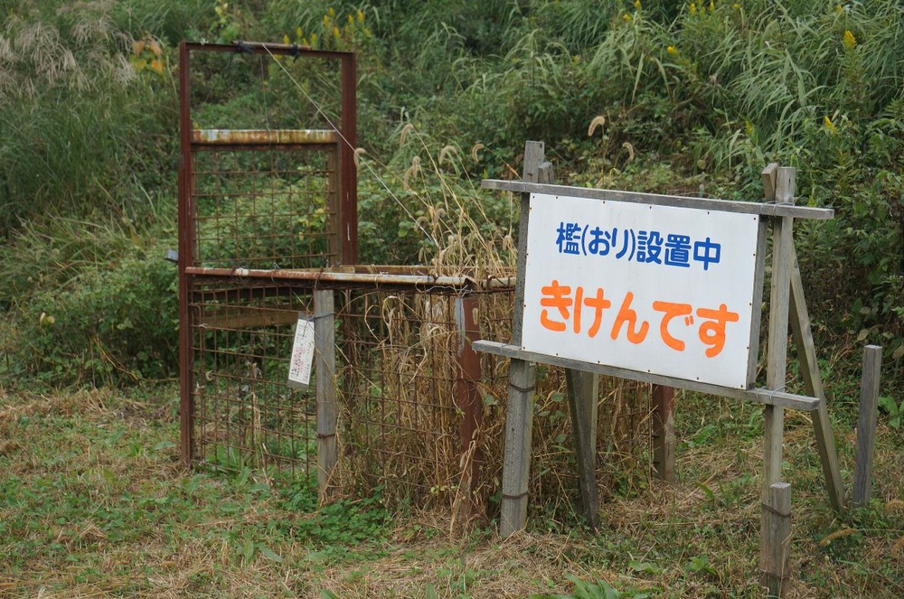 檻危険です