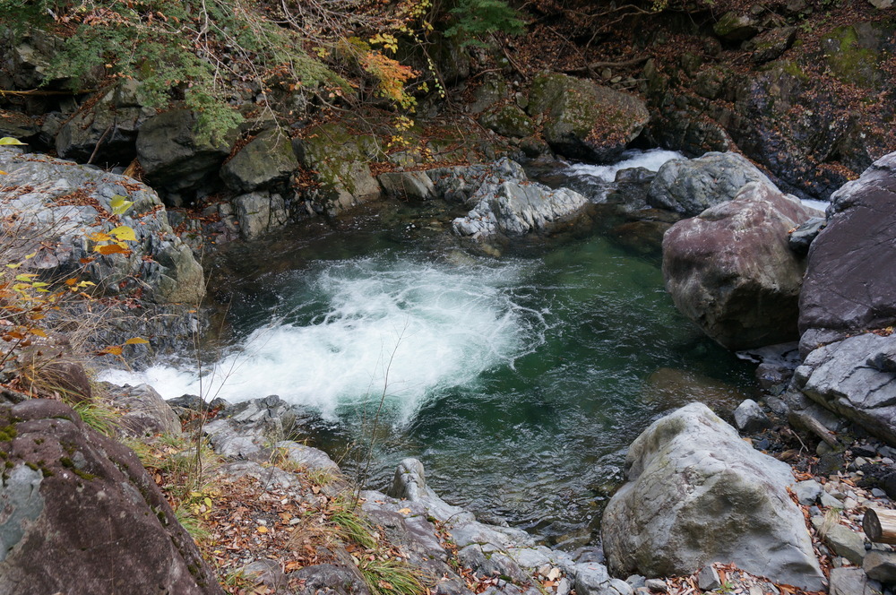 DSC00154