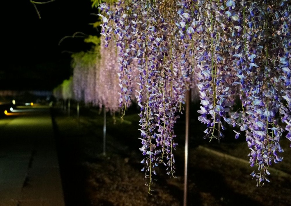 ５月７日夜１1
