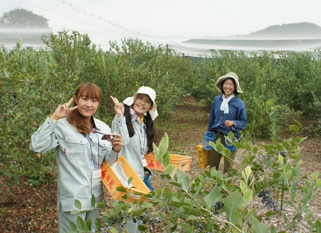 奥丹波Ｂで関西大学の娘が研修