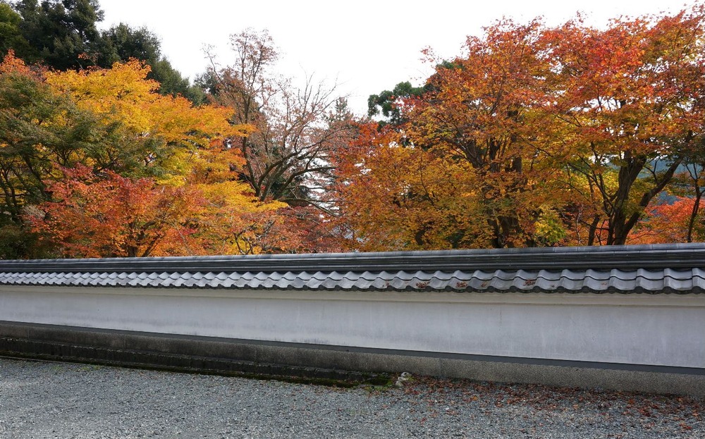 １４年円通寺の紅葉3