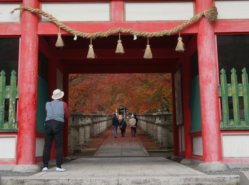 １４年高山寺の紅葉１