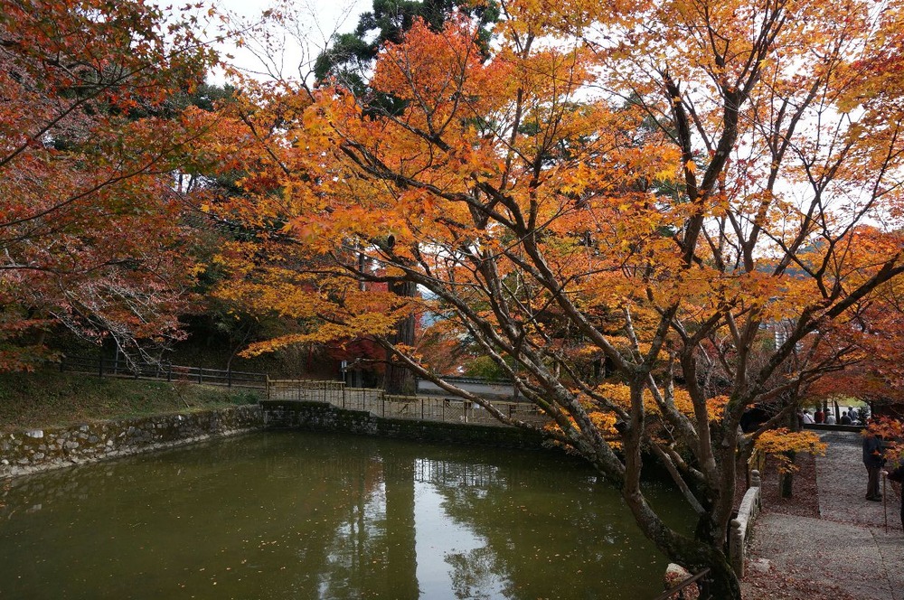 １４年円通寺の紅葉2