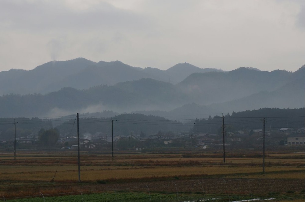 竹田の朝もや