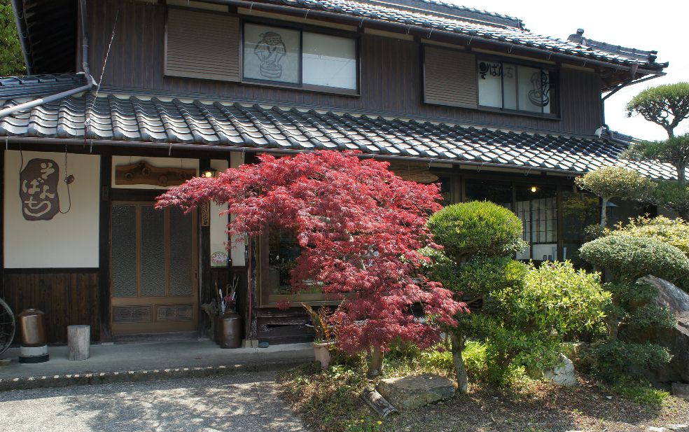 深緑のそばんち