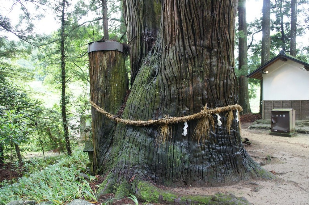 高蔵寺阿弥陀堂5