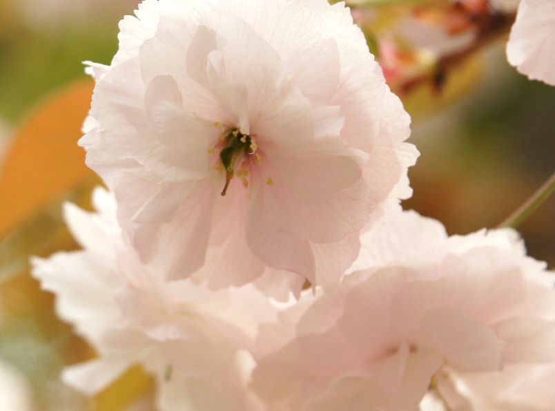 造幣局１０