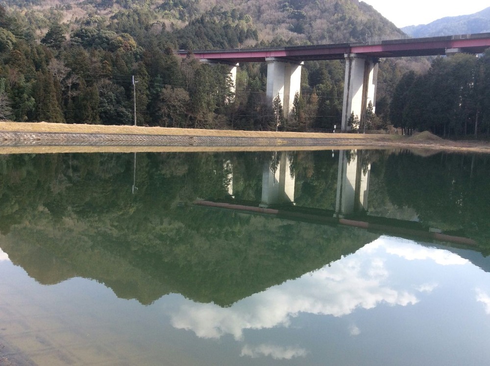 東中池の三尾山