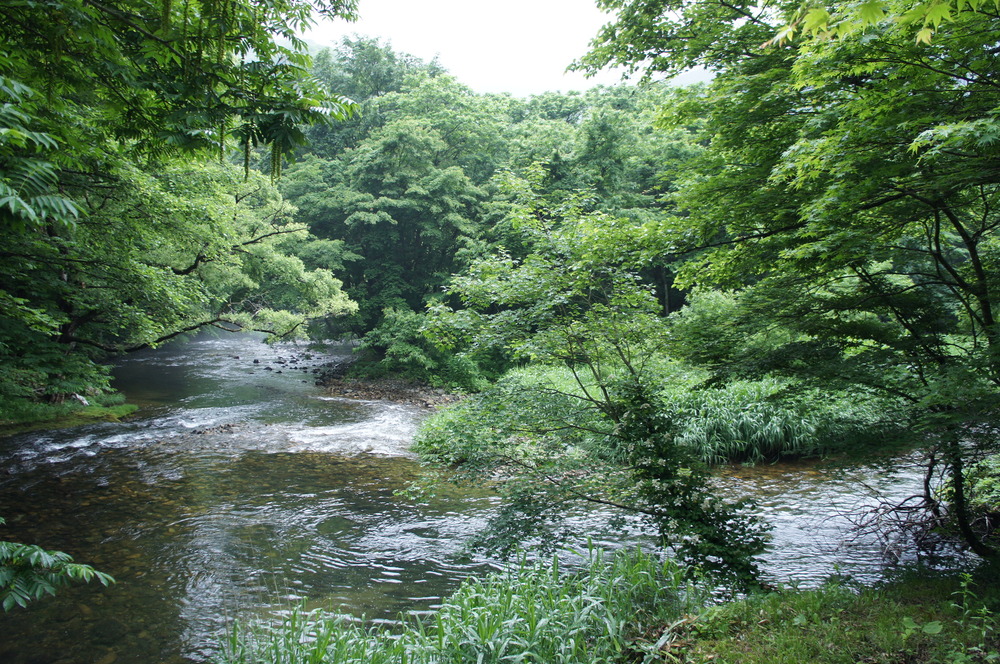 DSC09896