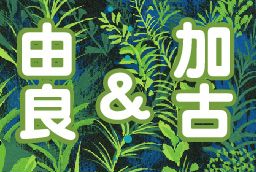加古＆由良