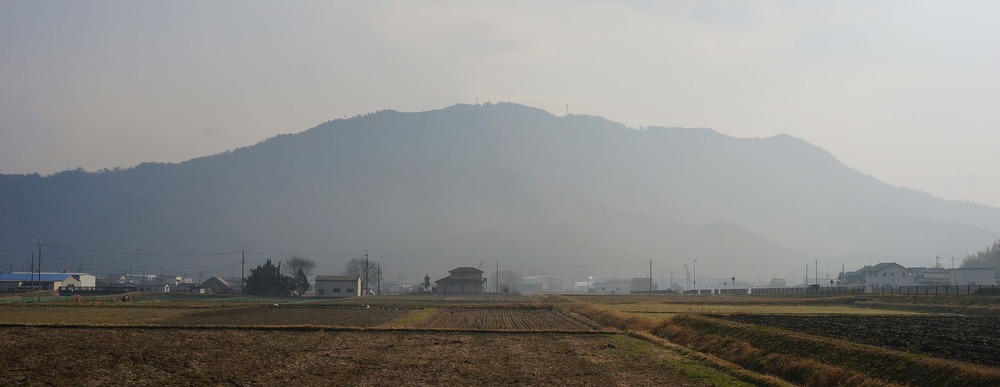 yokominesann
