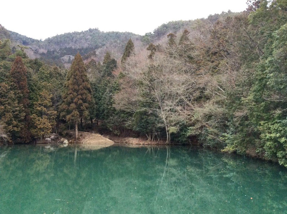 風呂吹池１