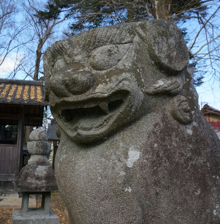 二宮神社の狛犬２