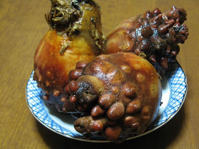 殻付きほや