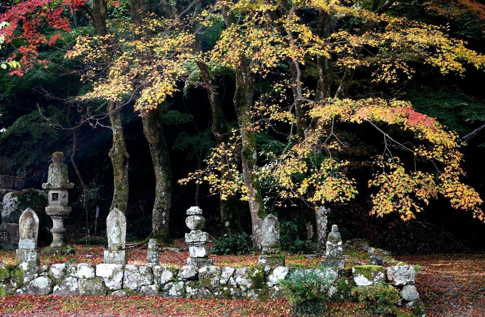 １４年円通寺の紅葉4