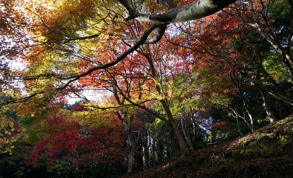神池寺２