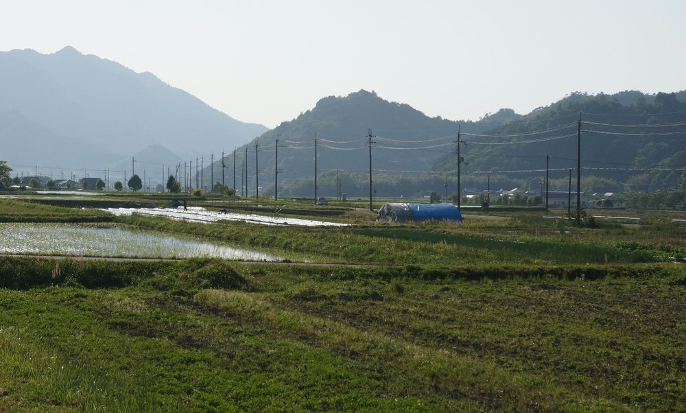 電柱の風景