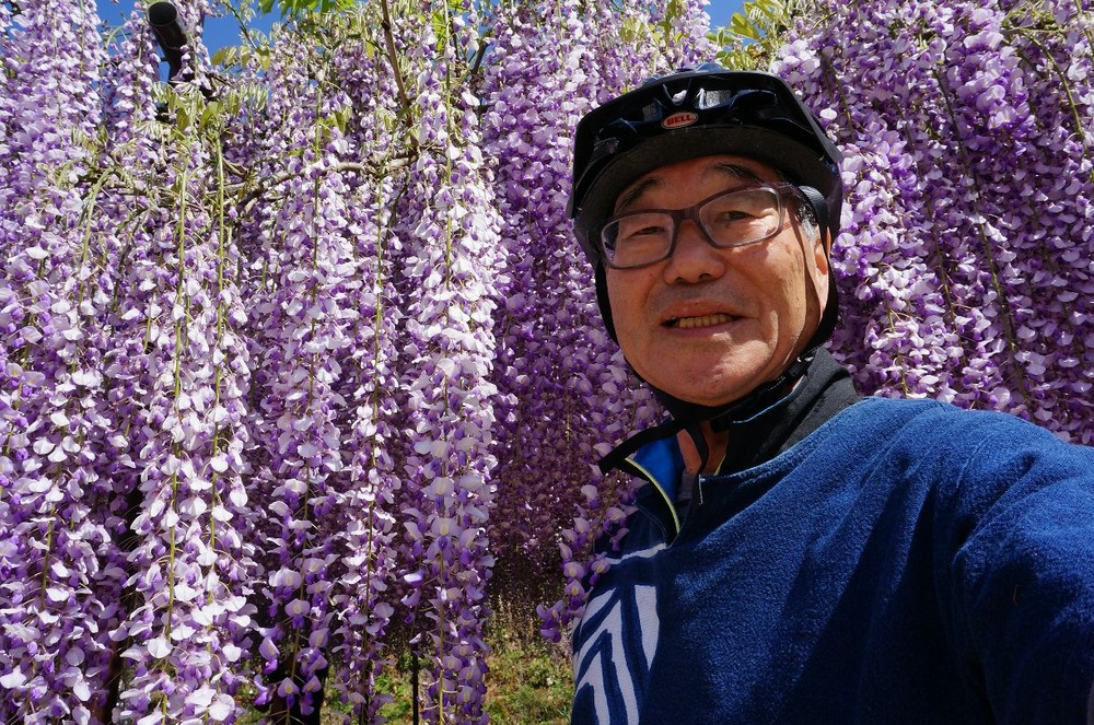 ５月５日九尺藤自撮