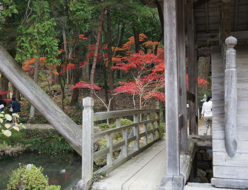 １４年百毫寺太鼓橋の紅葉２