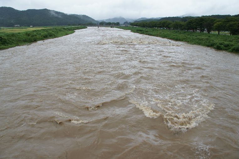 今日は大河の竹田川