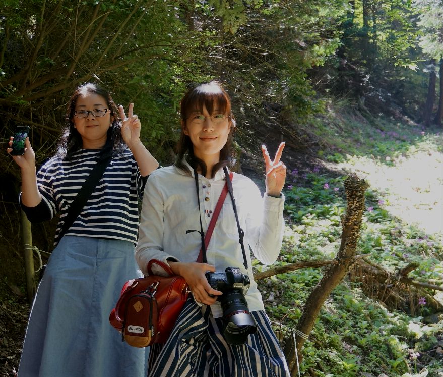 妙高山九輪草9