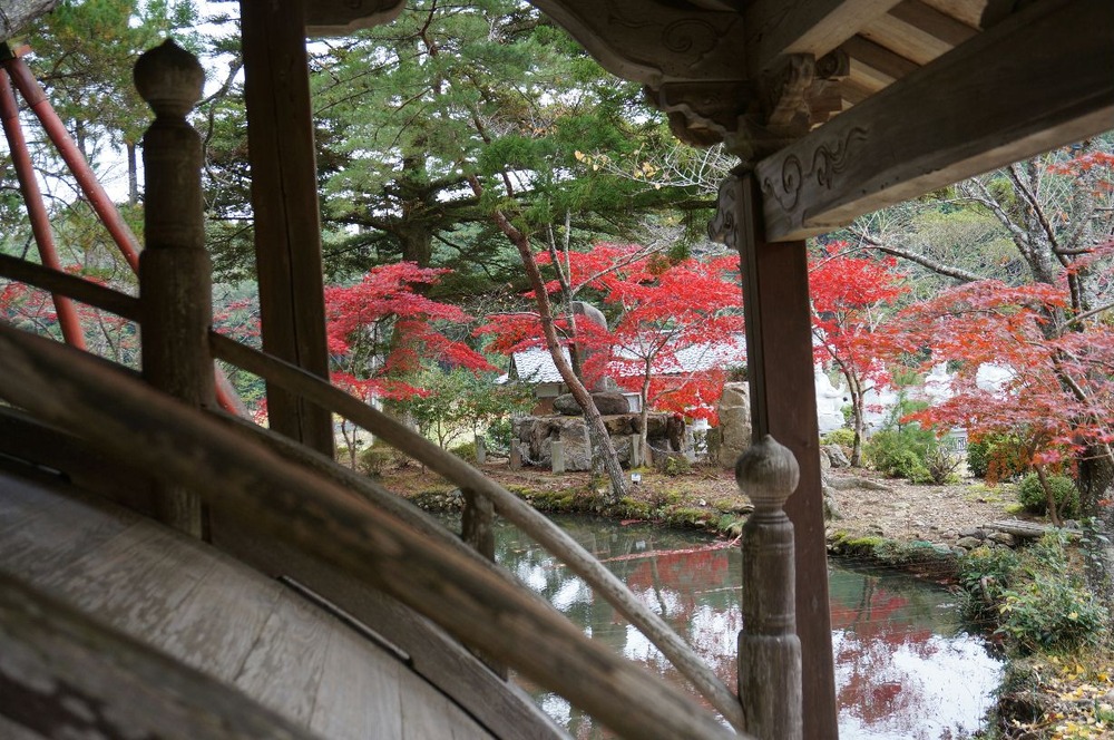 １４年百毫寺太鼓橋の紅葉