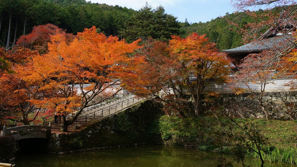 １４年円通寺の紅葉１