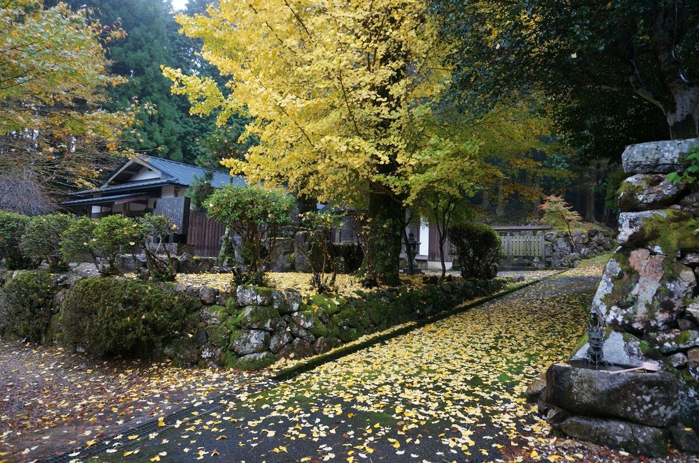 神池寺１