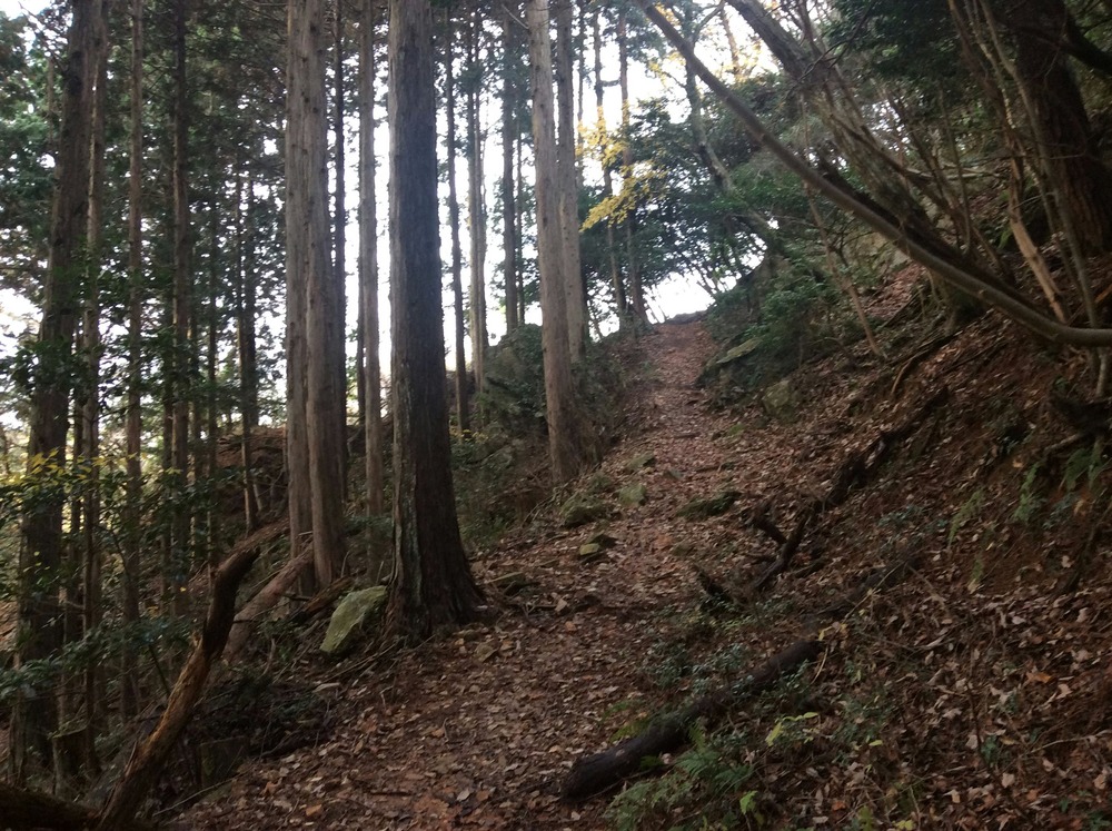 鬼の架け橋への登山道12