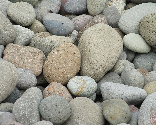 越前海岸の石