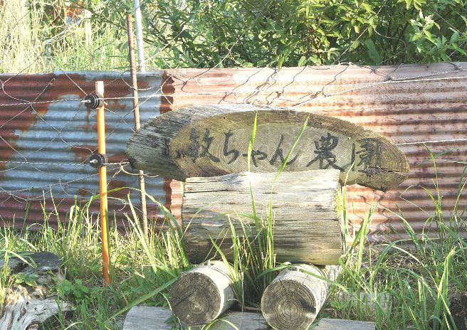 敏ちゃん農園看板