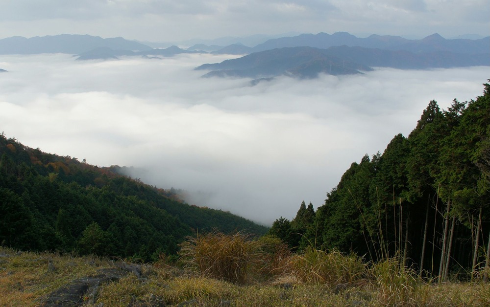 横峰山雲海７