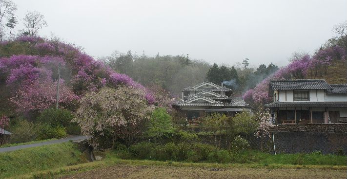 三つ葉つつじの館