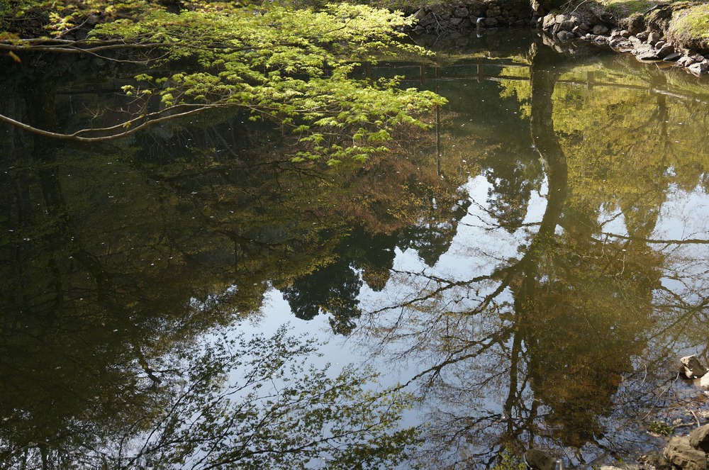 神池寺澄まずの池
